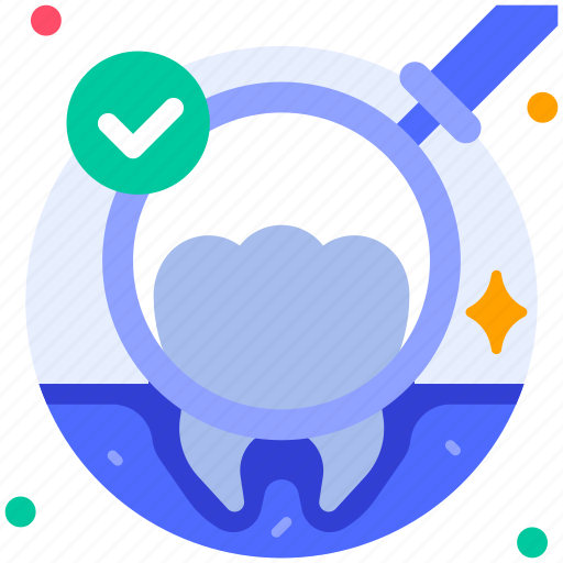 Tooth check, checkup, inspection, magnifier, tooth, dental, dentist icon - Download on Iconfinder