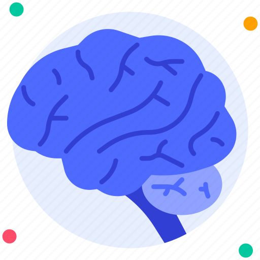 Brain, mind, intelligence, thinking, neuron, human organ, medical checkup icon - Download on Iconfinder