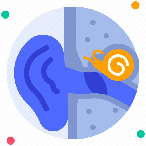 Ear, audio, hear, earlobe, ear hole, human organ, medical checkup icon - Download on Iconfinder
