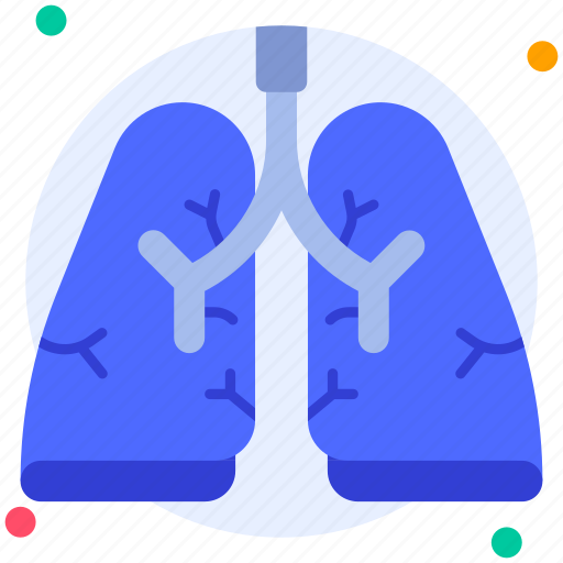Lungs, diaphragm, lung, breathe, human organ, medical checkup, anatomy icon - Download on Iconfinder