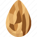 almonds, kernel, food, snack, nutrition