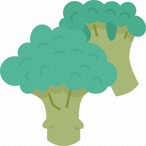 Broccoli, vegetable, ingredient, vitamin, food icon - Download on Iconfinder