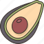 avocado, fruit, vegetable, organic, plant 