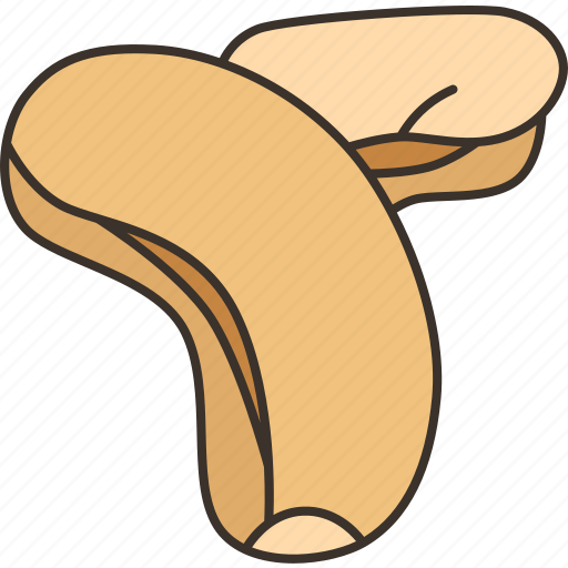 Cashew, nuts, snack, diet, protein icon - Download on Iconfinder