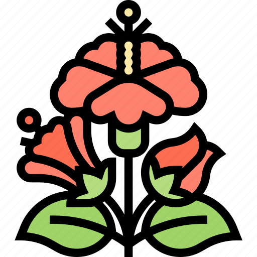Hibiscus, flower, botanical, tropical, garden icon - Download on Iconfinder