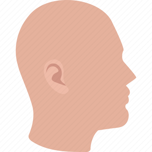 Bald, default, head, male, man, profile, silhouette icon - Download on Iconfinder