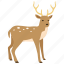christmas, deer, hunting, reindeer, rudolph, stag, venison 