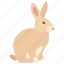 bunny, chocolate, easter, hare, meat, pet, rabbit 
