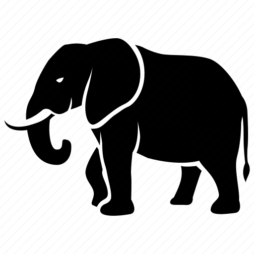 African, bull, elephant, indian, poaching, wild, zoo icon - Download on Iconfinder