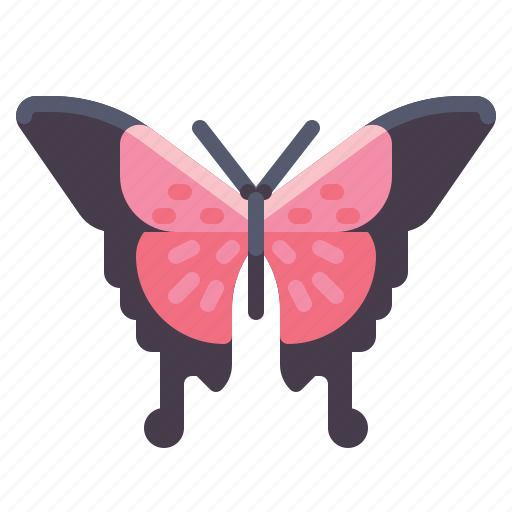 Butterfly, insect, bug icon - Download on Iconfinder