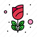 flower, gras, mardi, romance, rose