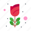 flower, gras, mardi, romance, rose 