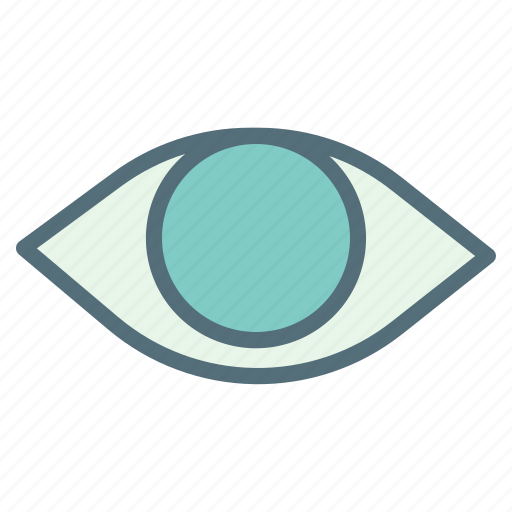 Detail, eye, impression, see, seen, show, show password icon - Download on Iconfinder