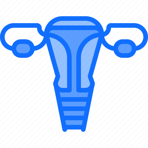 Baby, fallopian, gynecology, maternity, organ, pregnancy, tubes icon - Download on Iconfinder