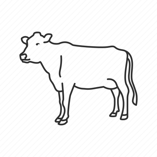 Animal, beef, cow, cow meat, food, full body cow, meat icon - Download on Iconfinder