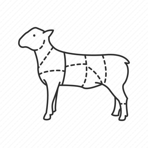 Animal, food, lamb, lamb meat, lamb meat section, meat, meat cuts icon - Download on Iconfinder