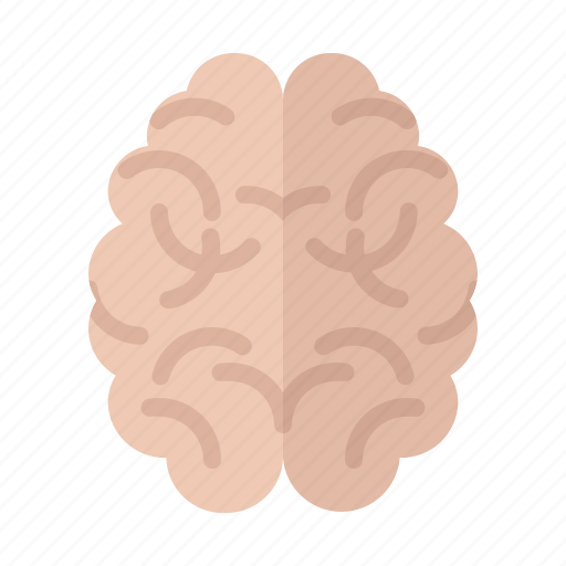Brain, head, idea, medic, mind, think icon - Download on Iconfinder