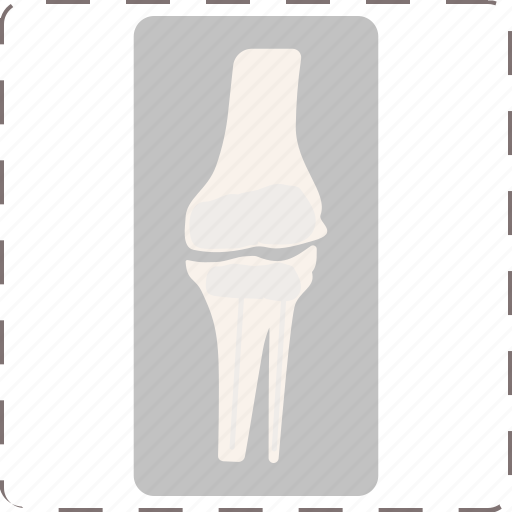 Anatomy, bone, bones, skeleton icon - Download on Iconfinder