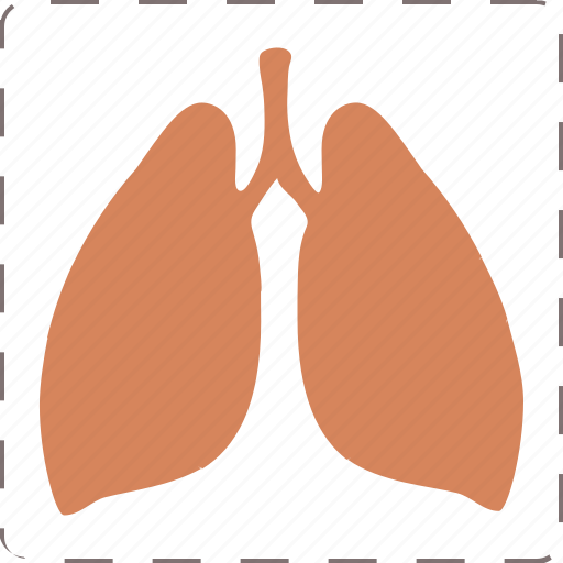 Anatomy, lungs, organ, pulmonology icon - Download on Iconfinder
