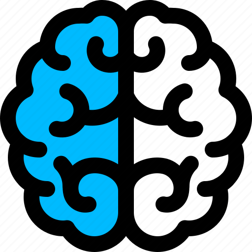 Brain, neurology, thinking icon - Download on Iconfinder