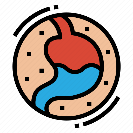 Digestion, gastroenterology, organ, stomach icon - Download on Iconfinder