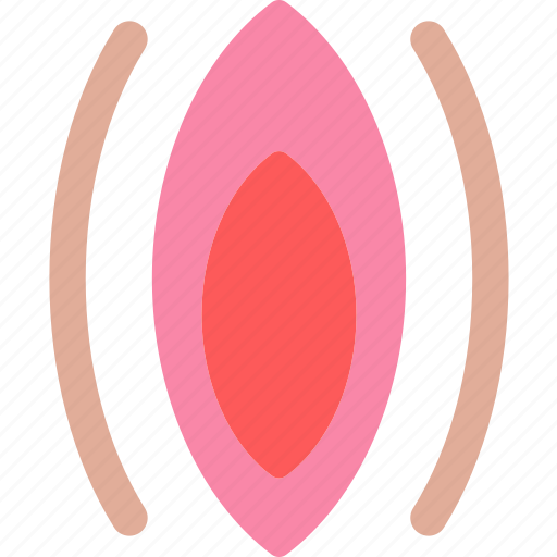Female, reproduction, uterus, vagina icon - Download on Iconfinder