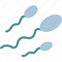 ejaculation, penis, reproduction, sperm
