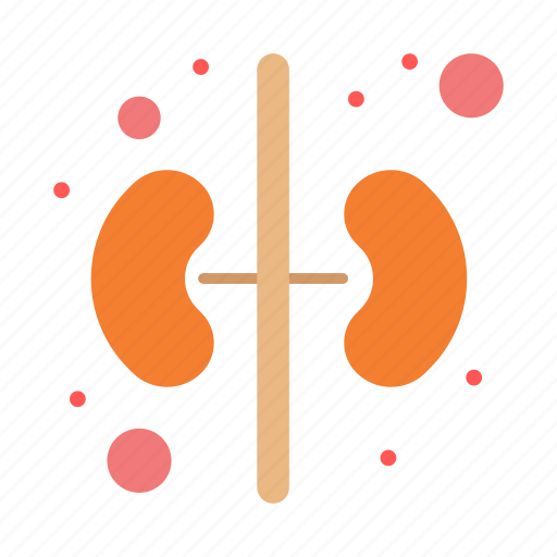 Human, kidney, organ icon - Download on Iconfinder