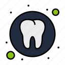 dental, health, medical, tooth