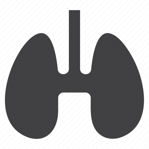 Lung, lungs, medicine, organ icon - Download on Iconfinder