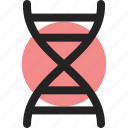dna, genetics, genome