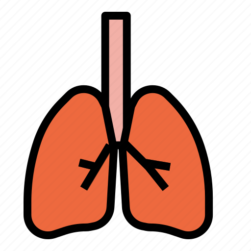 Lungs, breath, anatomy, organ, medical icon - Download on Iconfinder