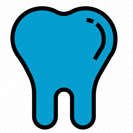 Teeth, tooth, dental, dentist, medical icon - Download on Iconfinder