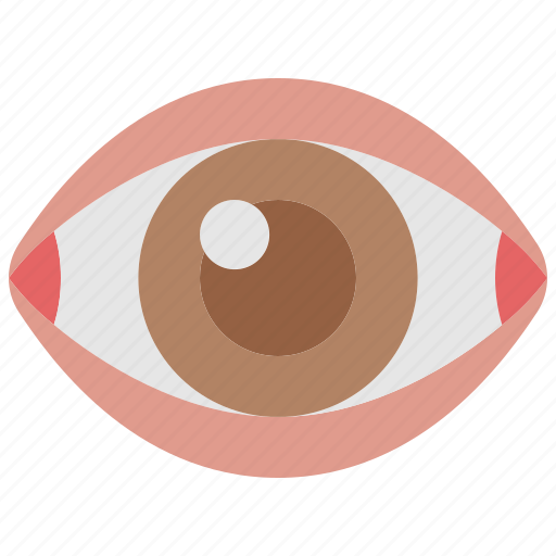 Eye, eyesight, optical, organ, ophthalmology, view, eyeball icon - Download on Iconfinder