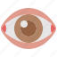 eye, eyesight, optical, organ, ophthalmology, view, eyeball 