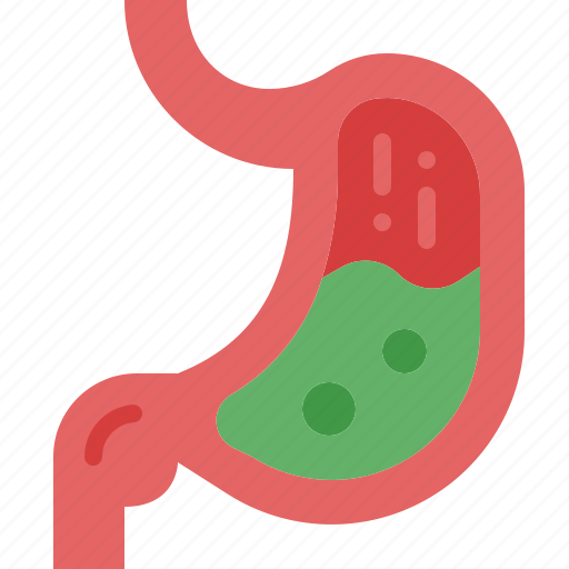 Stomach, digestive, anatomy, organ, acid, system, medical icon - Download on Iconfinder