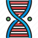 dna, genetic, structure, spiral, science, helix, education
