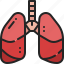 lungs, respiratory, organ, anatomy, internal, breath, body, part 