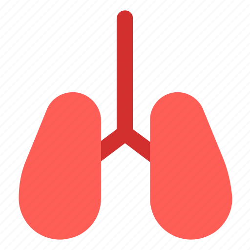 Medical, kidney, health, pharmacy icon - Download on Iconfinder