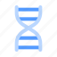 dna, biology, science, structure, genetic 