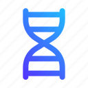 dna, biology, science, structure, genetic
