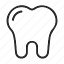 tooth, dental, stomatology, medicine, teeth, dentistry