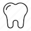 tooth, dental, stomatology, medicine, teeth, dentistry 