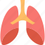 pulmonology, health, hospital, lungs, medicine, respiratory, treatment 