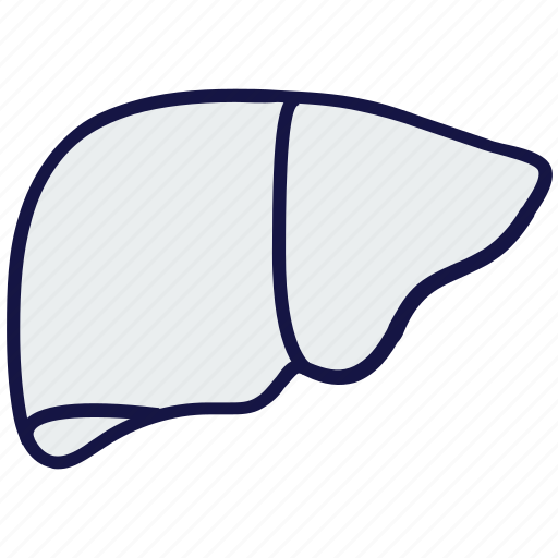 Anatomy, healthcare, liver, medical icon - Download on Iconfinder