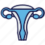 female, gynecology, health, medical, organ, sexual, vagina 