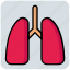 anatomy, breathe, health, lungs, medical, phenology 