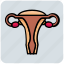 female, gynecology, health, medical, organ, sexual, vagina 