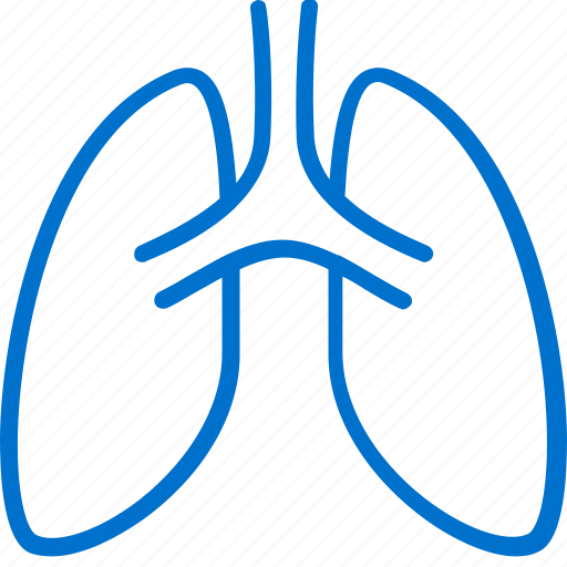 Breathing, health, hospital, lungs, medical, medicine, pulmonology icon - Download on Iconfinder