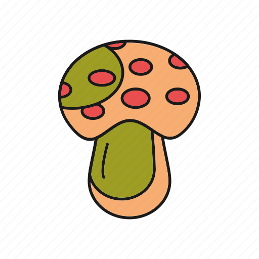 Amanita, food, mushroom icon - Download on Iconfinder